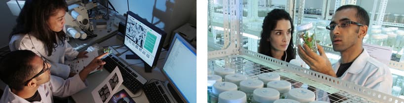 BIOZON Lab bottom banner